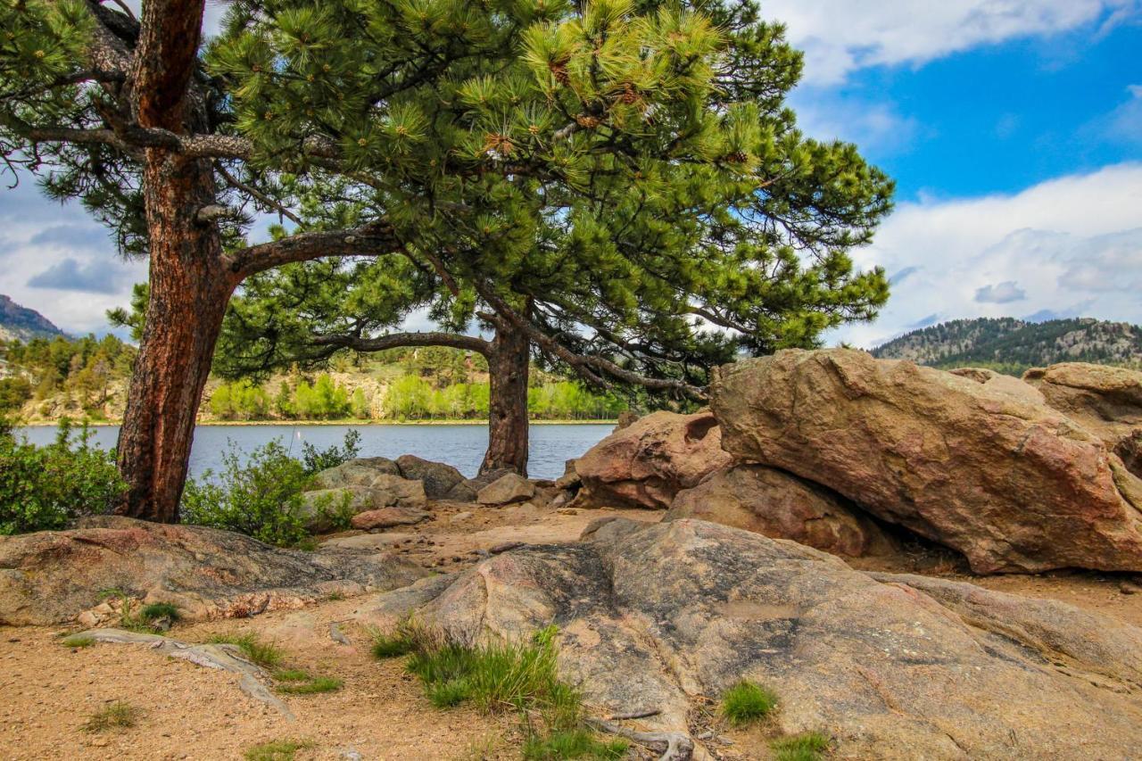 Courtney Cottage - Permit #3479 Estes Park Exterior foto